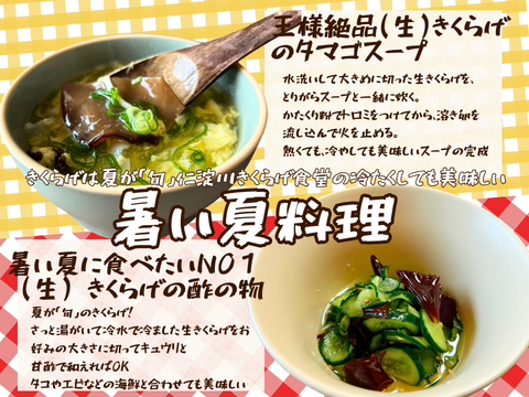高知県仁淀川町産『(生)あらげきくらげ』奇跡の水で育てた「夏場しか食べれない贅沢」さらに“極上”の品質だけを選び抜いた“premium“な”生きくらげ”。季節限定。大容量2kg(500g×4パック)