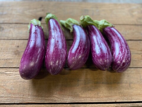 農薬・化学肥料不使用！とろける肉質！ゼブラナス1kg！