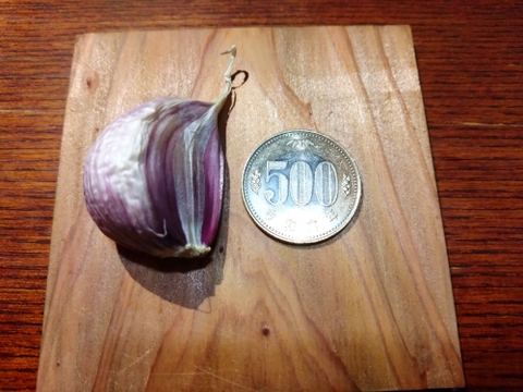 【全国一律送料】里山の平戸ニンニク バラ【農薬不使用】昔ながらの自然乾燥400g