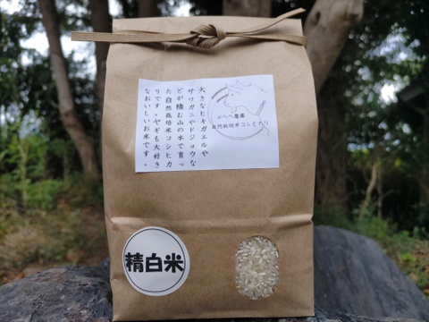 新米　自然栽培米コシヒカリ　精白米　１ｋｇ