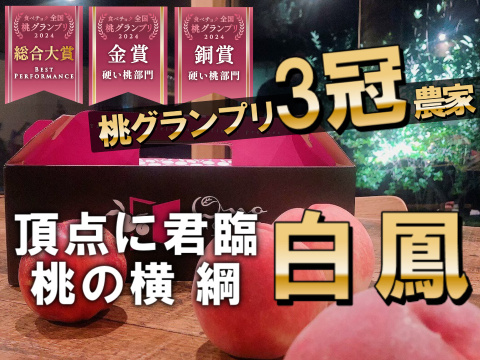 ちょーこ幻の桃一箱と野菜セット dショッピング |野菜スープ 最中 もなか プチ ギフト かわいい