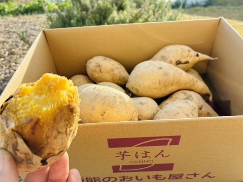 白いさつまいも！希少新品種きみまろこ2㎏