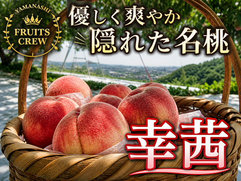 【気品ある隠れた名桃幸茜】本場山梨の品種指定キャンペーン🍑爽やかな後味×上質な大玉✨お試し約1㎏【朝どれ】🍑8月中旬予約🍑