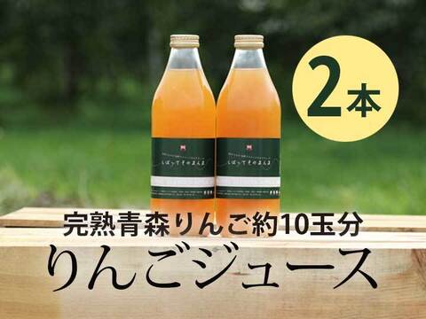 完熟青森りんご100%【しぼってそのまんま】濃厚りんごジュース(1L×2本入)