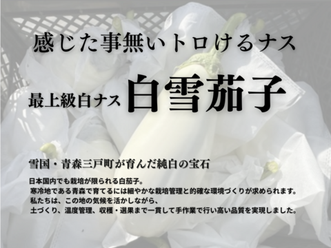 とろける食感！クリーミー白ナス『白雪茄子』300g×10個