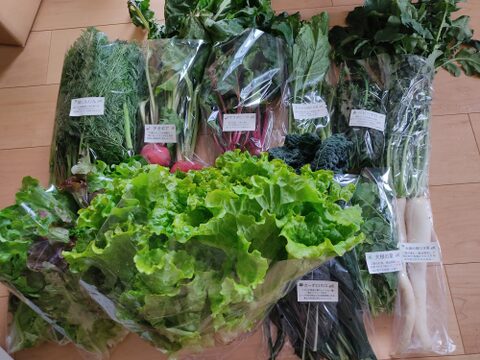 ✨世界に一つだけのプレミアム野菜便（農薬・化成肥料不使用）✨あなたの「欲しい」が詰まった一箱。わがままを叶えるオーダーメイド野菜便🥬【朝どれ】