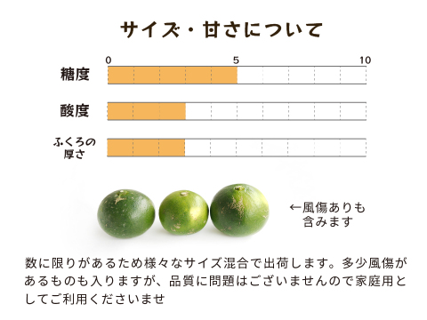 YN26（みかん）家庭用5kg｜和歌山で生まれた温州みかんの有望品種を産地直送でお届け