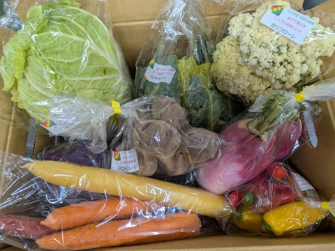 【常温便】カラダ喜ぶ『Mサイズ冬のカラフル野菜セット8品目』