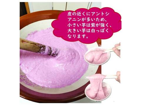 紫山芋１００％すりおろし、 瞬間冷凍、 小分け１００ｇ×６袋、冷凍パック、紫色はアントシアニン、大分市産、農薬・化学肥料不使用、保冷剤入り