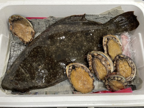 天然ヒラメ（大サイズ　2.5Ｋｇ）・・・即発送