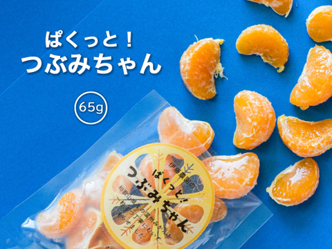 冷凍ミカン（有田みかん） ぱくっとつぶみちゃん  65g×24袋　820-20p