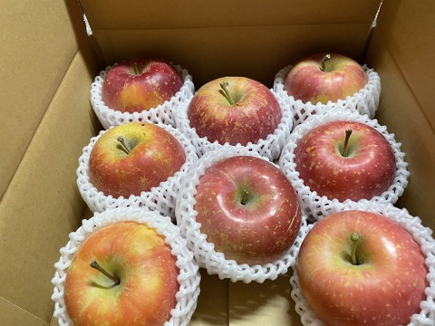 【🍎サンふじ】 大玉8個 (3㎏・家庭用)