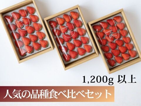 【終了間近】【2種食べ比べ】1200g以上食べ比べセット！人気品種「紅ほっぺ」800g+静岡限定品種「きらぴ香」400g or 希少品種「おいCベリー」400gのどちらかのランダムパック!