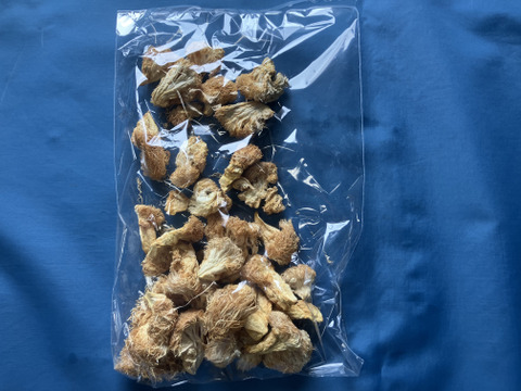 【ゲン担ぎ福袋】金（菌）招く！？きのこ屋の福袋