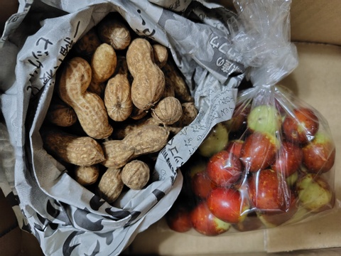 棗（なつめ）　若返りの果実！　200グラム