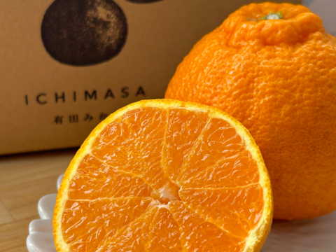 不知火　訳あり　サイズ混合　有田の不知火