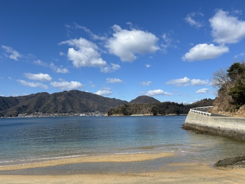 〔訳アリ〕🍊とろける甘酸っぱさ！濃い味わいの早生みかん ５kg【花崗岩の離島から直送！／果汁じゅわっ】