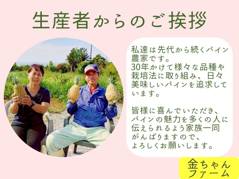 【とろける優しさ】乳白のパイン『ホワイトココ』2玉(約2.0kg)