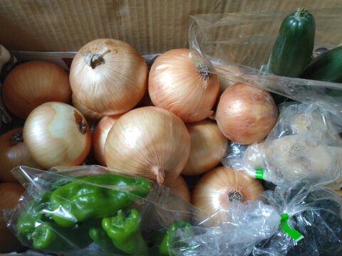 大好評，地層が違う淡路島、新玉ねぎ七宝早生(風袋込み3キロ)