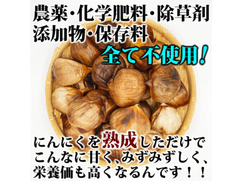 【数量限定セール!!】奇跡のブラックフルーツ２キロ（500g×4袋）【農薬不使用】青森県産黒にんにく