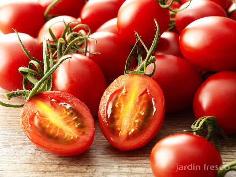 シュガープラム2kg 糖度10度以上の高リコピン(13mg)極甘・完熟・高糖度ミニトマト　ジューシーな甘さがクセになる(300004)