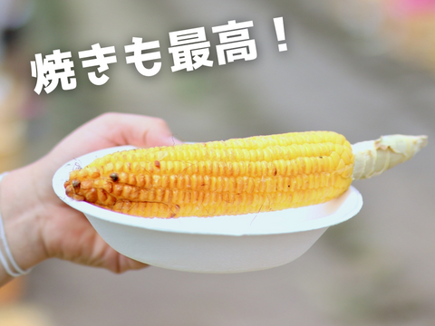 【自然のスイーツ】生がイチバン！朝採りフルーツコーン 10本入り