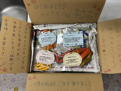 ２０２５年、収穫スタートです！生ローゼル(赤色、約２キロ入り)