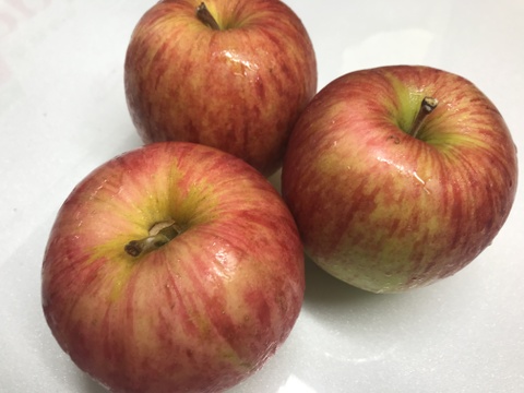 【夏りんご】青森県産りんご 「つがる」家庭用 キズ有 約3kg 【光センサー選果】