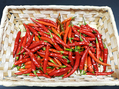 猛暑を辛さで乗り切る！羅辛（らしん）（総量300g）農薬・化学肥料不使用