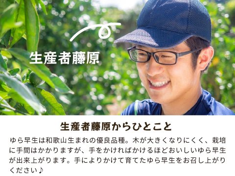 ゆら早生（みかん）5kg家庭用｜和歌山生まれの極早生みかんの最高傑作