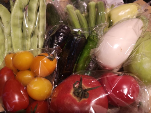 【旬のお勧め野菜セット】＊6品目以上～農薬/化学肥料・不使用