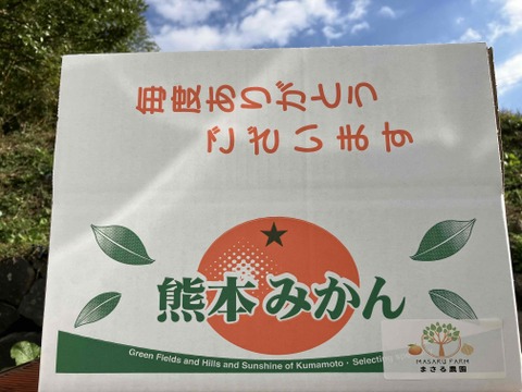 大地の恵みがたっぷり！ほどよい酸味と甘さで生命の息吹を感じる！力強く味の濃い　青島みかん10ｋｇ箱込み　（温州）　S～2Lサイズ　なくなり次第終了！となります！