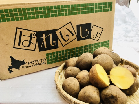 【驚きの甘さ】越冬とうや 10kg 訳あり 2025年収穫！ 糖度UP