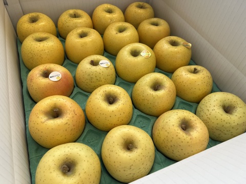 【黄色いりんご食べ比べ】　シナノゴールド・藤原ロマン　家庭用小玉 約5kg（20～23玉）