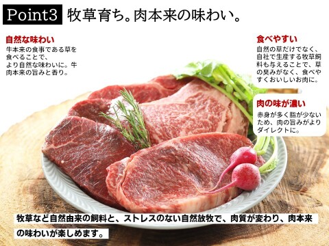 【冬ギフト】里山牛 人気ステーキ二種セット 　熨斗対応可