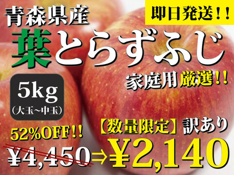 青森県産りんご「樹上完熟葉取らずふじ」約５キロ【数量限定】