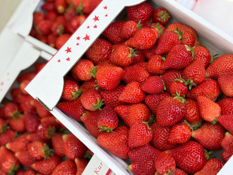 【バラ詰め】完熟あまおう３kg ジャムなどの加工用