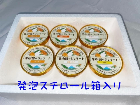 新発売　果樹園のジェラート『選べるジェラートセット』１２個入り　配達日時指定便 杉山農園