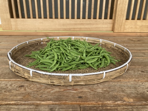 農薬一切不使用　スナップエンドウ箱込　2Kg