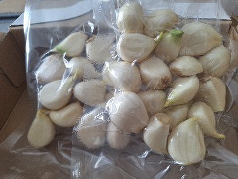 格安！訳あり品!!　北海道しれとこ産　少し発芽にんにく100ｇ～