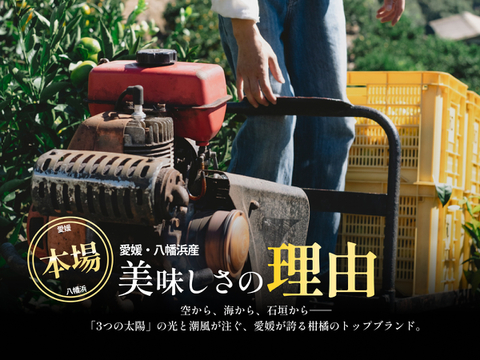 【シャキッとした食感と弾ける粒感】甘平 5kg×2箱（愛媛県産・ご家庭用）