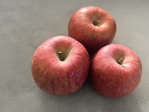 ふじ　家庭用 5kg（14～20玉）