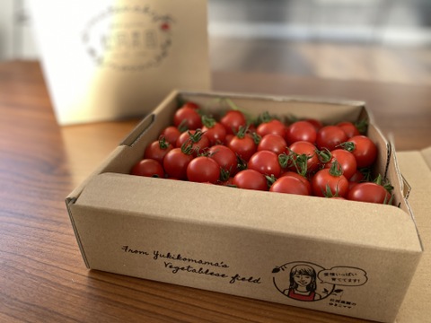 【適量BOX】愛情たっぷりbaby tomato 600g×2箱
　‐★★★‐