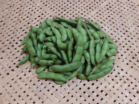 【自然栽培】枝豆（300g）