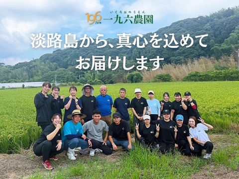 【新米 令和7年産】淡路島産キヌヒカリ 5kg×2袋セット（精白米）