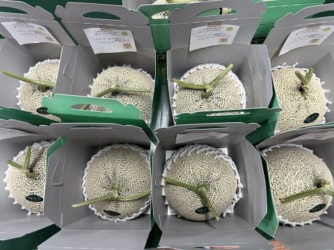 夏限定！高級メロン《リムジン》　　1.7 kg × 2 玉
糖度が高く、みずみずしい果肉がとろけるような食感！
贈り物やご自宅用にぴったりの大人気🍈メロン🍈