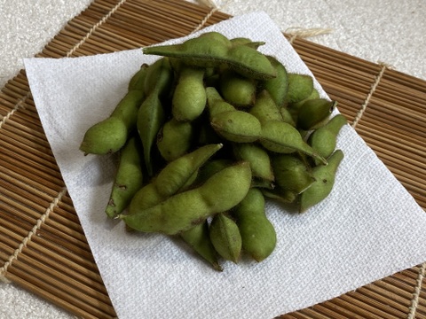 丹波篠山産　農薬不使用　黒枝豆　食べ納め