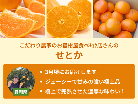 【限定300セット】旬の柑橘フルコース便（食べチョク公式）