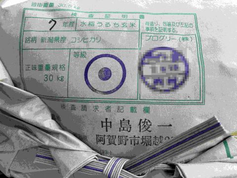 【福袋】　限定個数特別価格　新潟米豪華な食べ比べセット　新潟県産　従来種コシヒカリ　店頭で入手するのは難しい希少米　と　トップブランド　新之助（新潟県認証銘柄）　各白米5kgセット（10キロ）