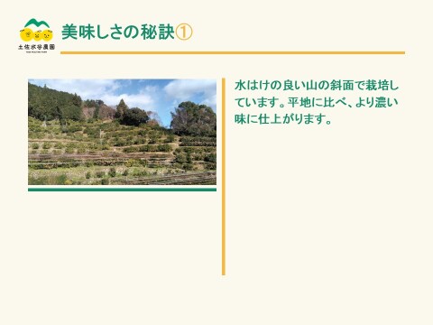 🏆食べチョク柑橘グランプリ銀賞 土佐文旦　家庭用　大小混合　5㎏(8個前後)　文旦の本場👑高知県土佐市産　”北海道への配送専用商品です”